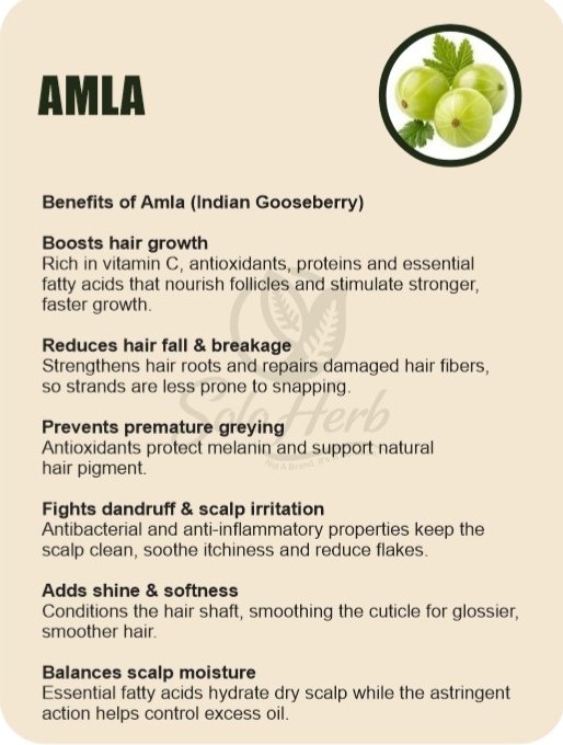 soloherb ingredients (18)
